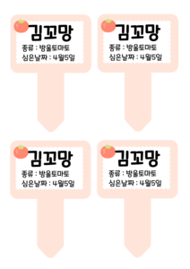 모종 이름표(방울토마토)